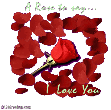 G�zel bir �ey 